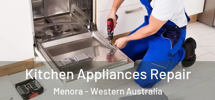 Kitchen Appliances Repair Menora - Western Australia
