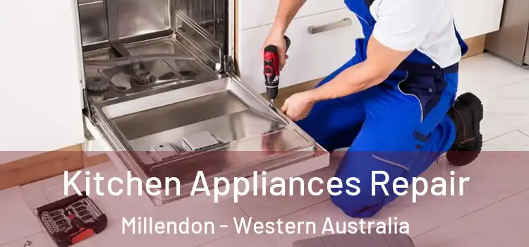 Kitchen Appliances Repair Millendon - Western Australia