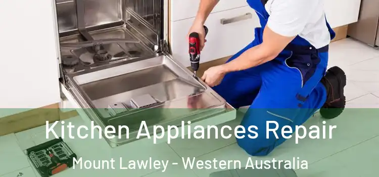 Kitchen Appliances Repair Mount Lawley - Western Australia