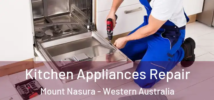 Kitchen Appliances Repair Mount Nasura - Western Australia
