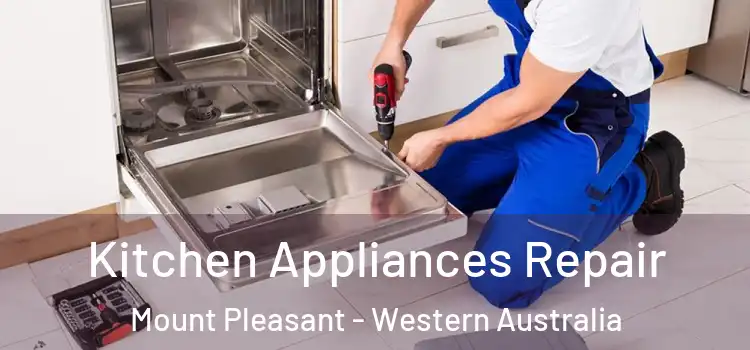 Kitchen Appliances Repair Mount Pleasant - Western Australia
