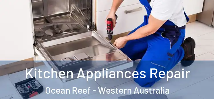 Kitchen Appliances Repair Ocean Reef - Western Australia