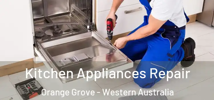 Kitchen Appliances Repair Orange Grove - Western Australia