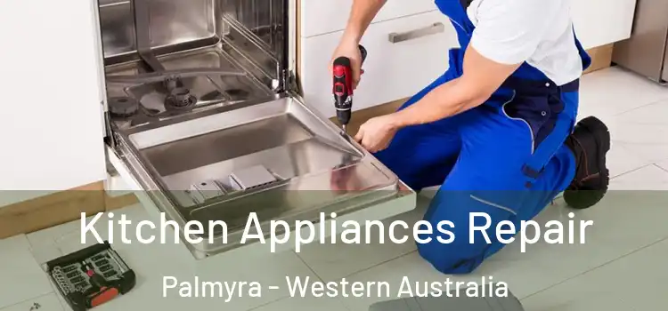 Kitchen Appliances Repair Palmyra - Western Australia