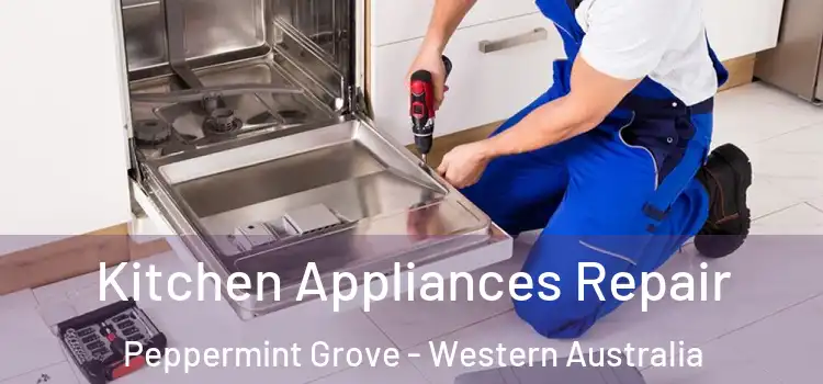 Kitchen Appliances Repair Peppermint Grove - Western Australia