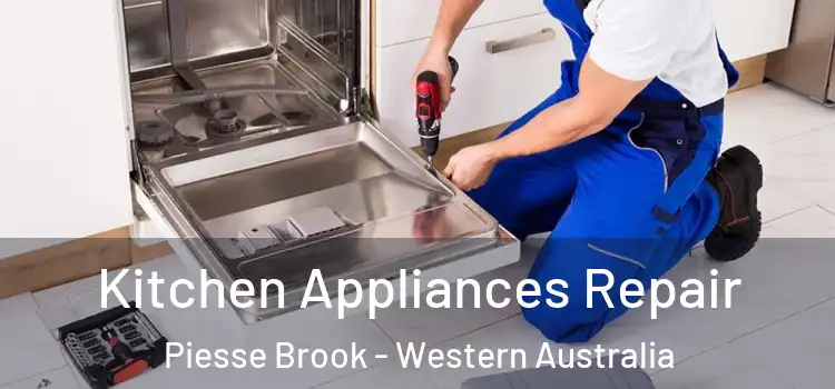Kitchen Appliances Repair Piesse Brook - Western Australia