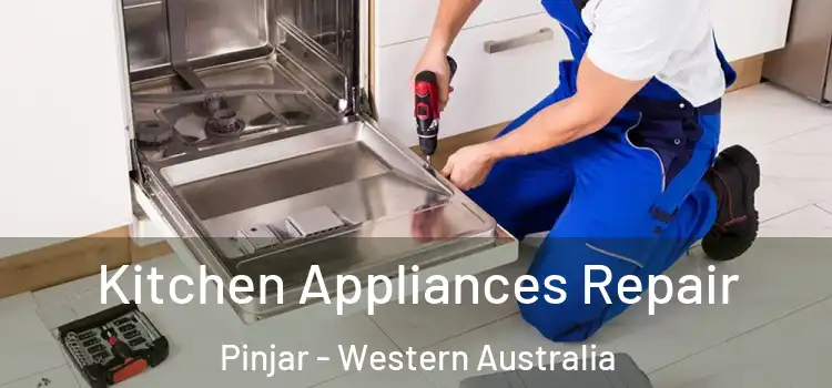 Kitchen Appliances Repair Pinjar - Western Australia