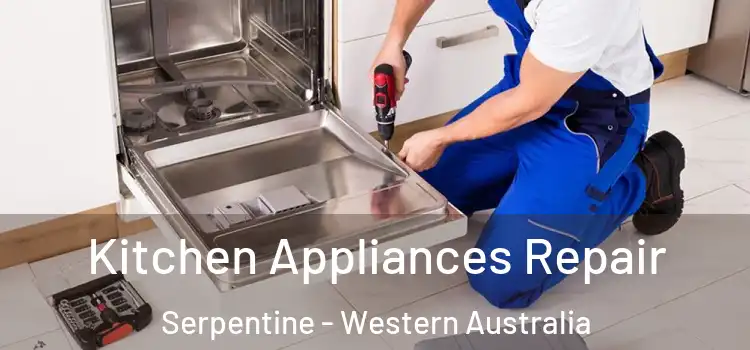 Kitchen Appliances Repair Serpentine - Western Australia