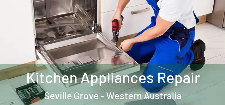 Kitchen Appliances Repair Seville Grove - Western Australia