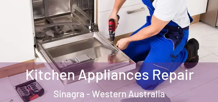 Kitchen Appliances Repair Sinagra - Western Australia