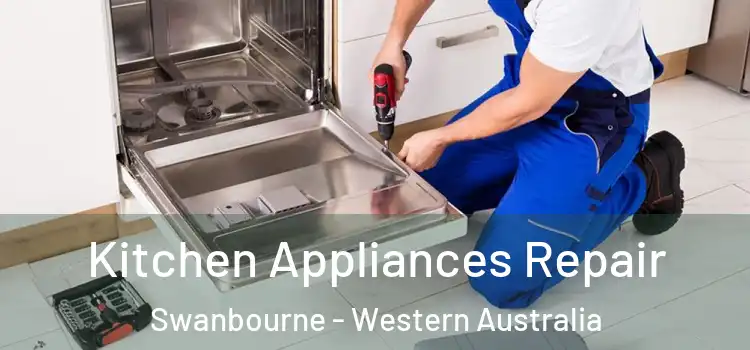Kitchen Appliances Repair Swanbourne - Western Australia
