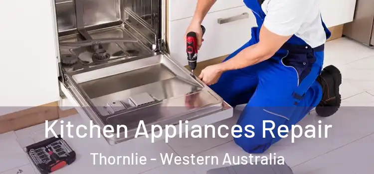 Kitchen Appliances Repair Thornlie - Western Australia