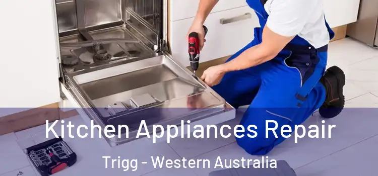Kitchen Appliances Repair Trigg - Western Australia