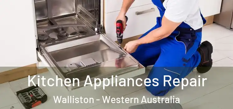 Kitchen Appliances Repair Walliston - Western Australia