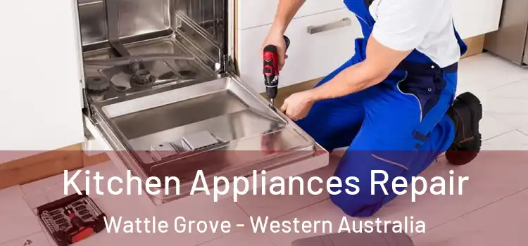 Kitchen Appliances Repair Wattle Grove - Western Australia
