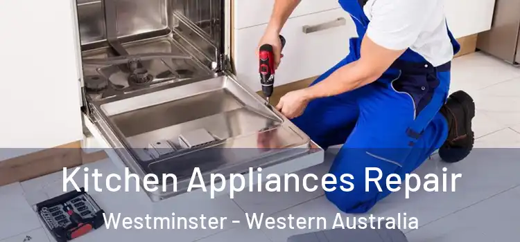 Kitchen Appliances Repair Westminster - Western Australia