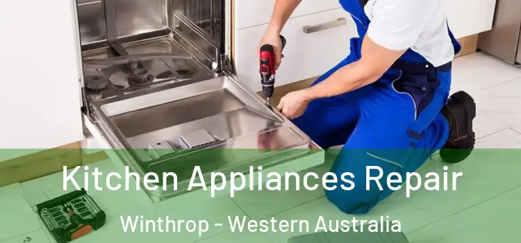 Kitchen Appliances Repair Winthrop - Western Australia