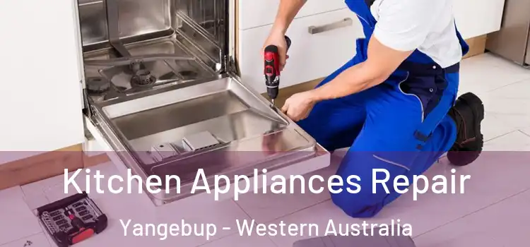 Kitchen Appliances Repair Yangebup - Western Australia