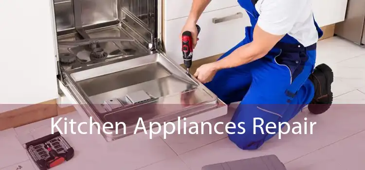 Kitchen Appliances Repair