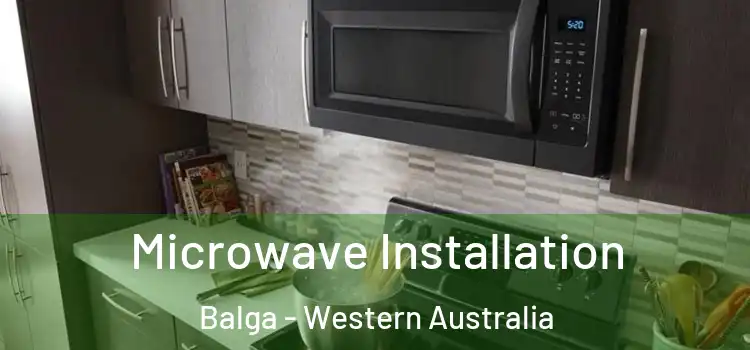 Microwave Installation Balga - Western Australia