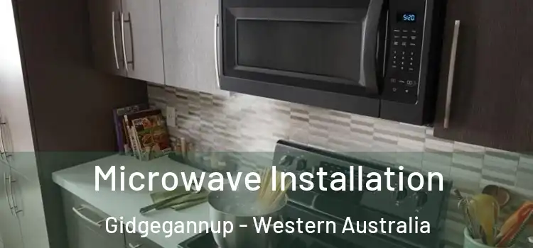 Microwave Installation Gidgegannup - Western Australia
