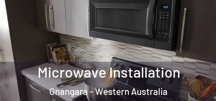 Microwave Installation Gnangara - Western Australia