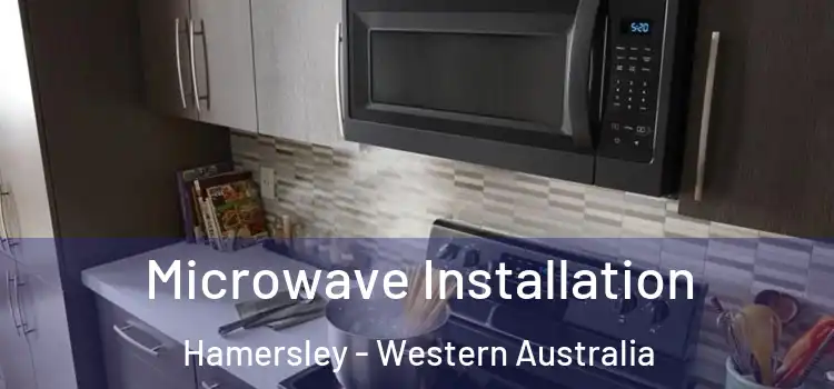 Microwave Installation Hamersley - Western Australia