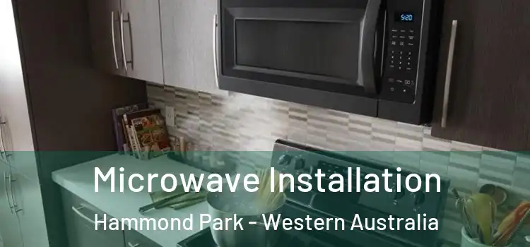 Microwave Installation Hammond Park - Western Australia
