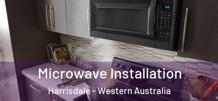 Microwave Installation Harrisdale - Western Australia
