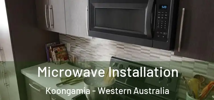 Microwave Installation Koongamia - Western Australia