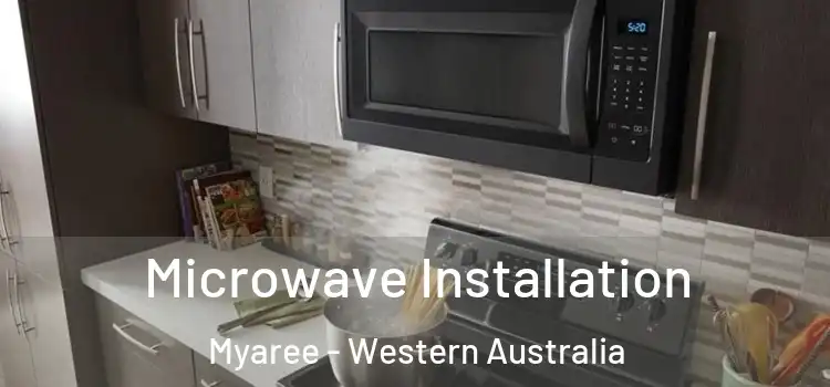 Microwave Installation Myaree - Western Australia