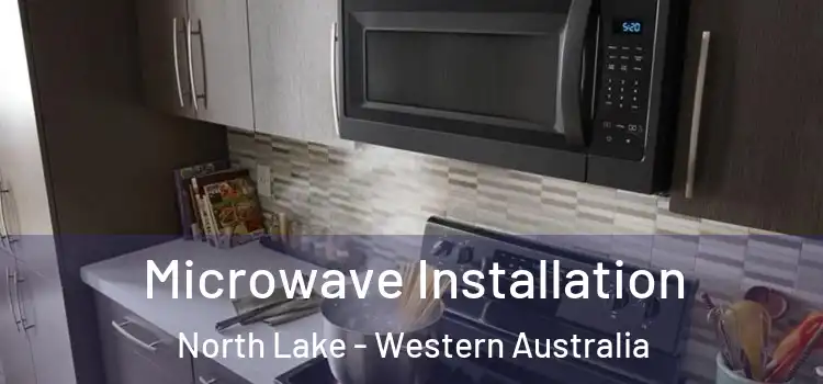 Microwave Installation North Lake - Western Australia