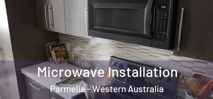 Microwave Installation Parmelia - Western Australia