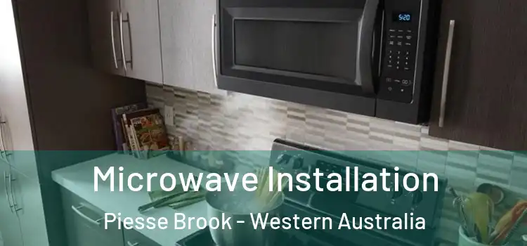 Microwave Installation Piesse Brook - Western Australia