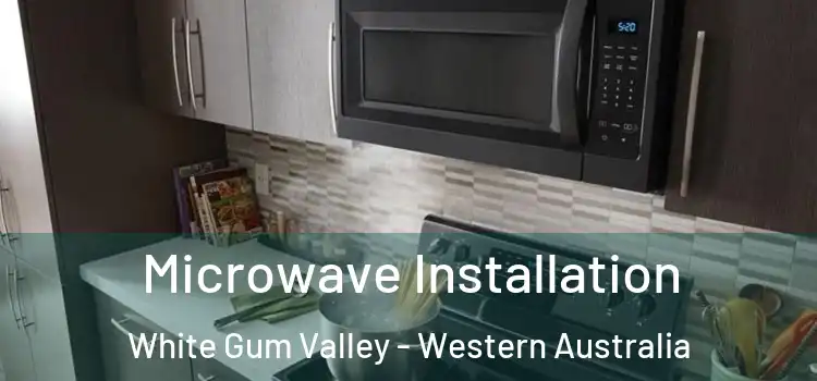 Microwave Installation White Gum Valley - Western Australia