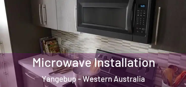 Microwave Installation Yangebup - Western Australia