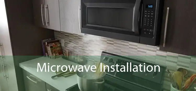 Microwave Installation 