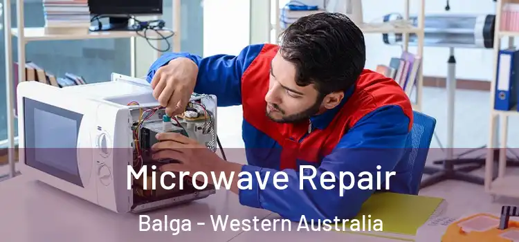 Microwave Repair Balga - Western Australia