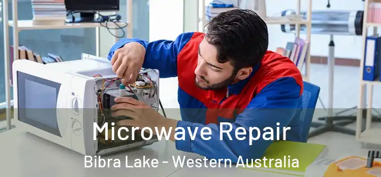 Microwave Repair Bibra Lake - Western Australia