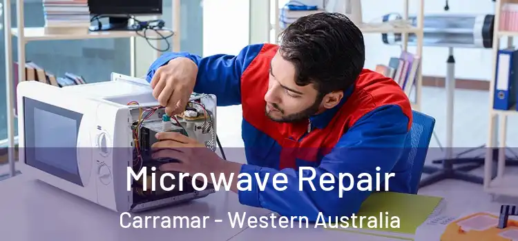 Microwave Repair Carramar - Western Australia