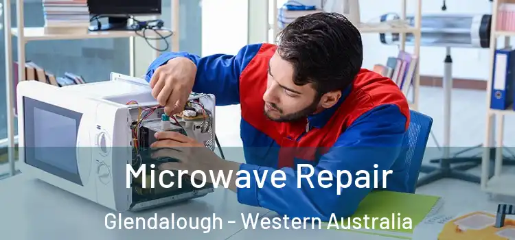 Microwave Repair Glendalough - Western Australia