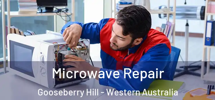 Microwave Repair Gooseberry Hill - Western Australia