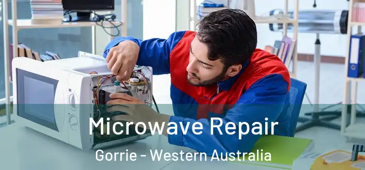Microwave Repair Gorrie - Western Australia
