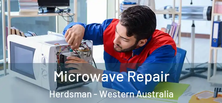 Microwave Repair Herdsman - Western Australia