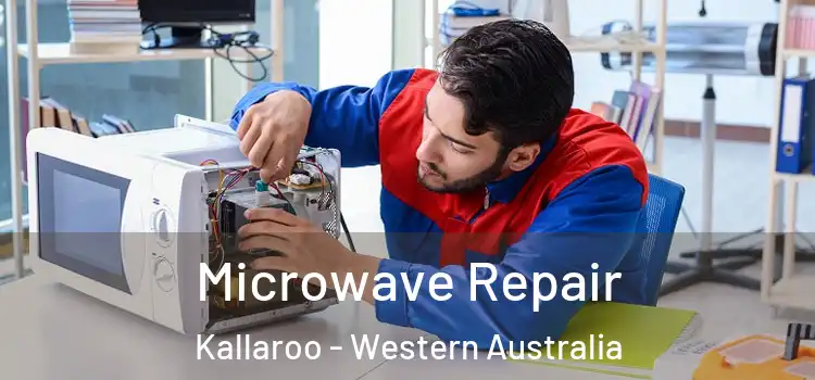 Microwave Repair Kallaroo - Western Australia