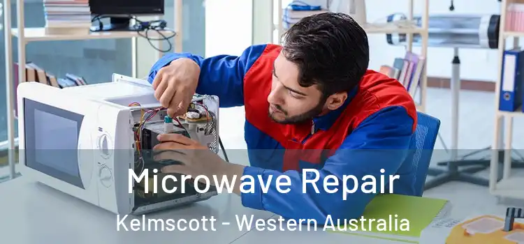 Microwave Repair Kelmscott - Western Australia