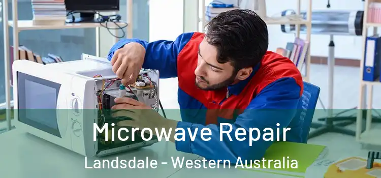 Microwave Repair Landsdale - Western Australia