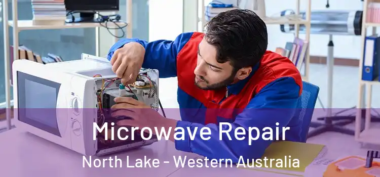 Microwave Repair North Lake - Western Australia