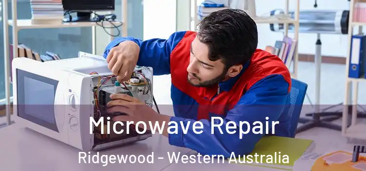 Microwave Repair Ridgewood - Western Australia