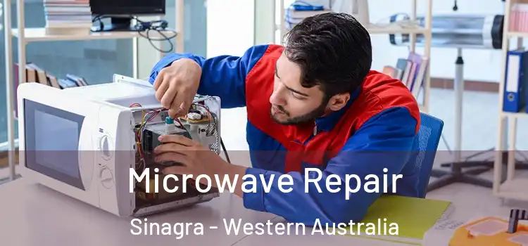Microwave Repair Sinagra - Western Australia